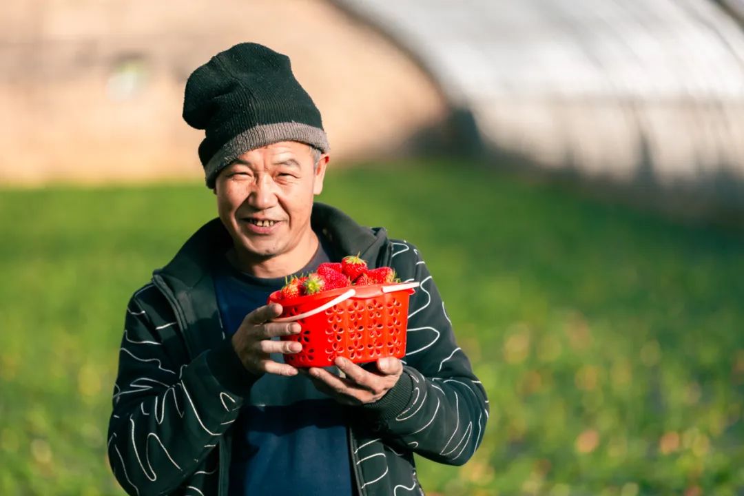 比年味谁更浓？谁能比得过花灯锦簇的栖云！