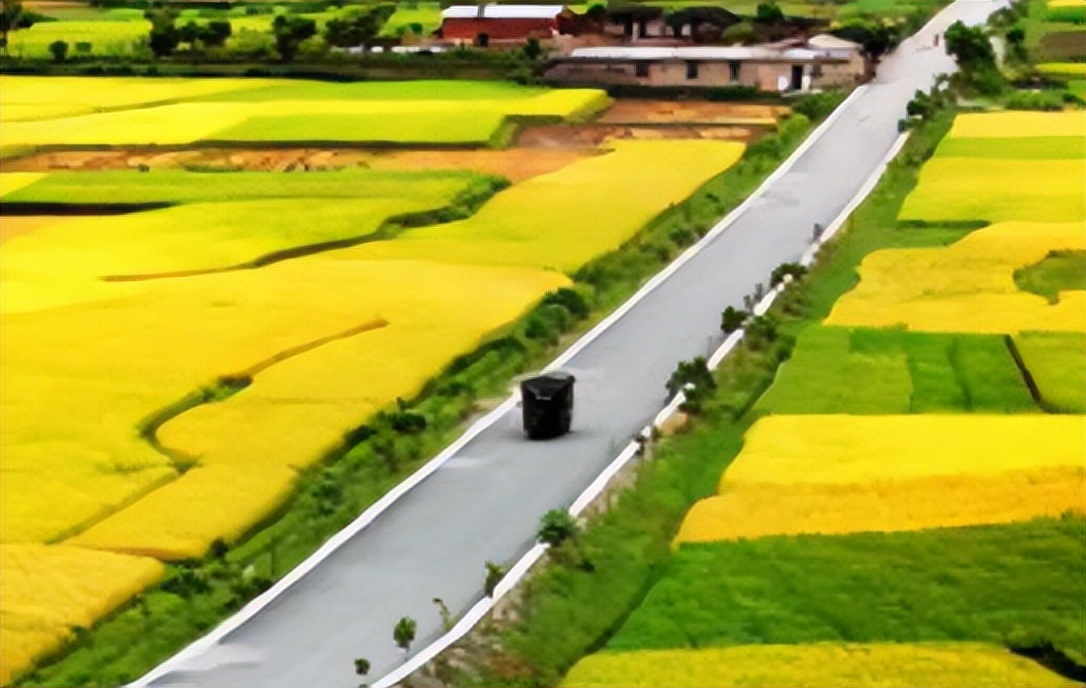 农产品电商发展现状和对策论文,农产品通过电商带来的可行性分析