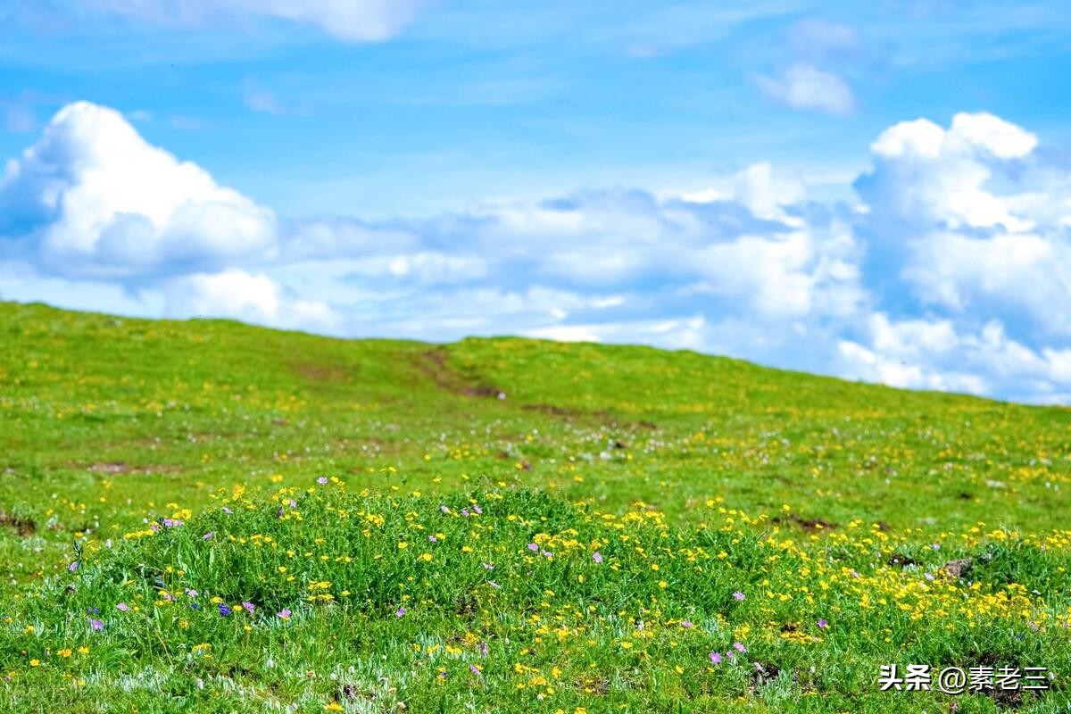 女作家去做保姆740集,女作家去做保姆最新篇418