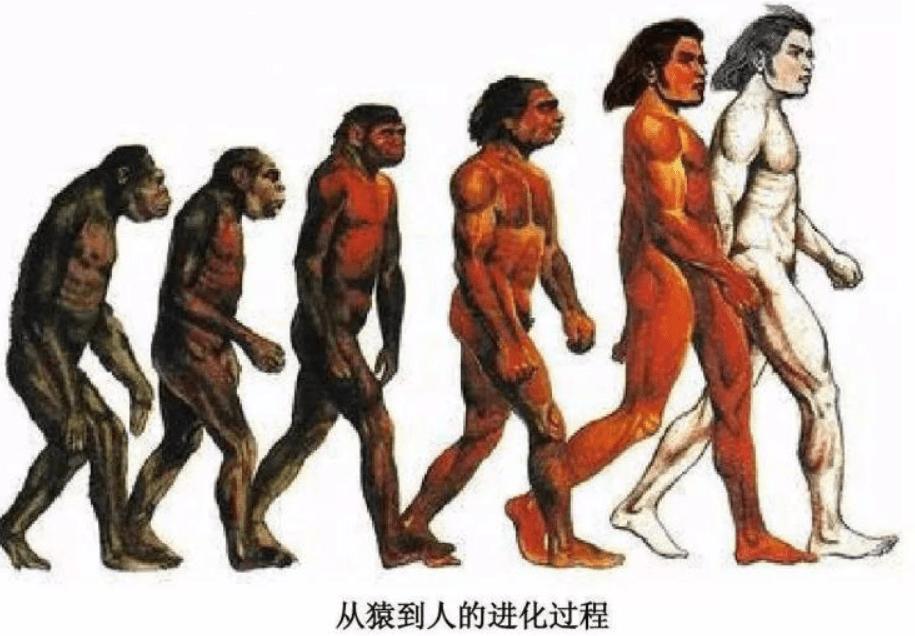 宝马冰淇淋歧视事件,宝马mini歧视事件即兴评述