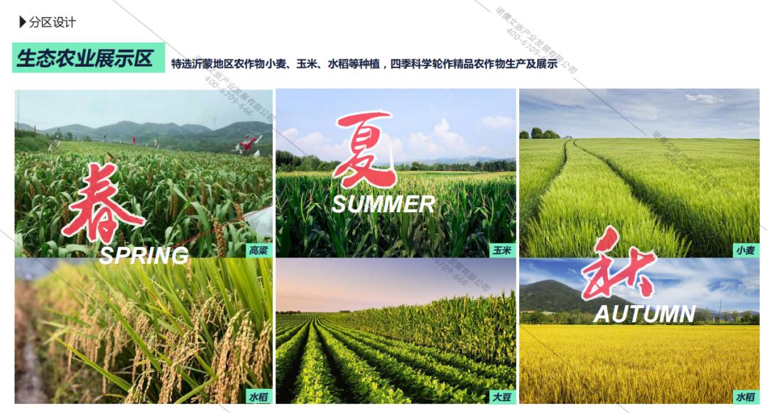 2025乡村振兴生态农场,休闲农业与乡村振兴规划设计