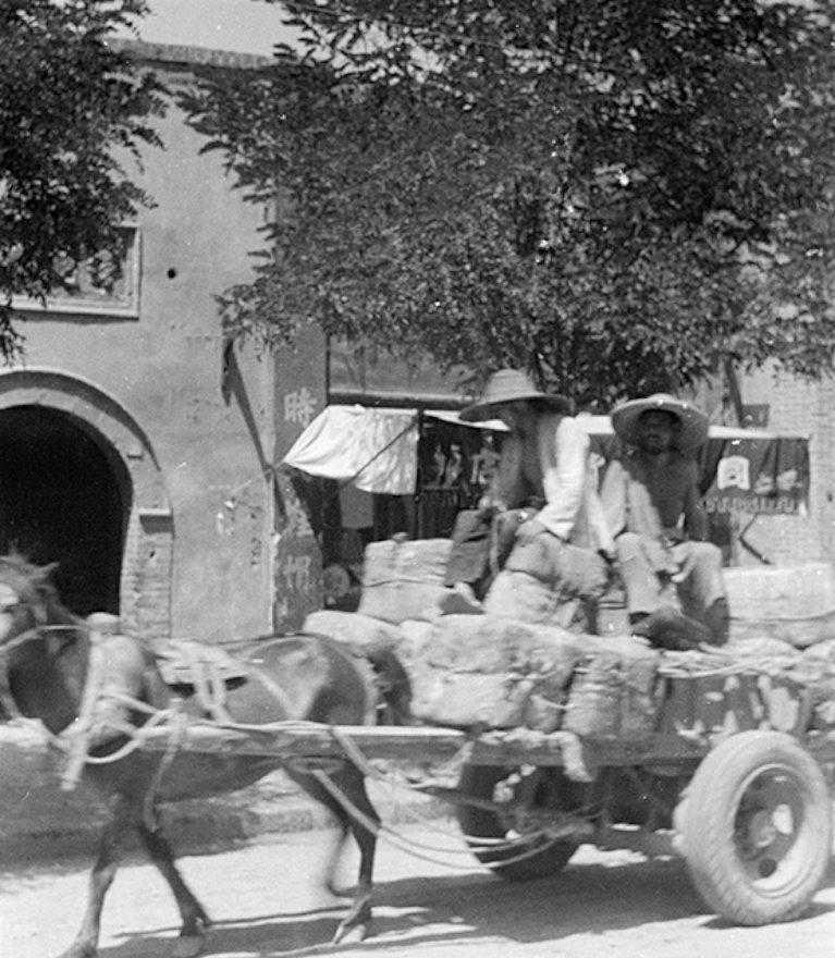 80年代美人老照片,民国美人老照片图库