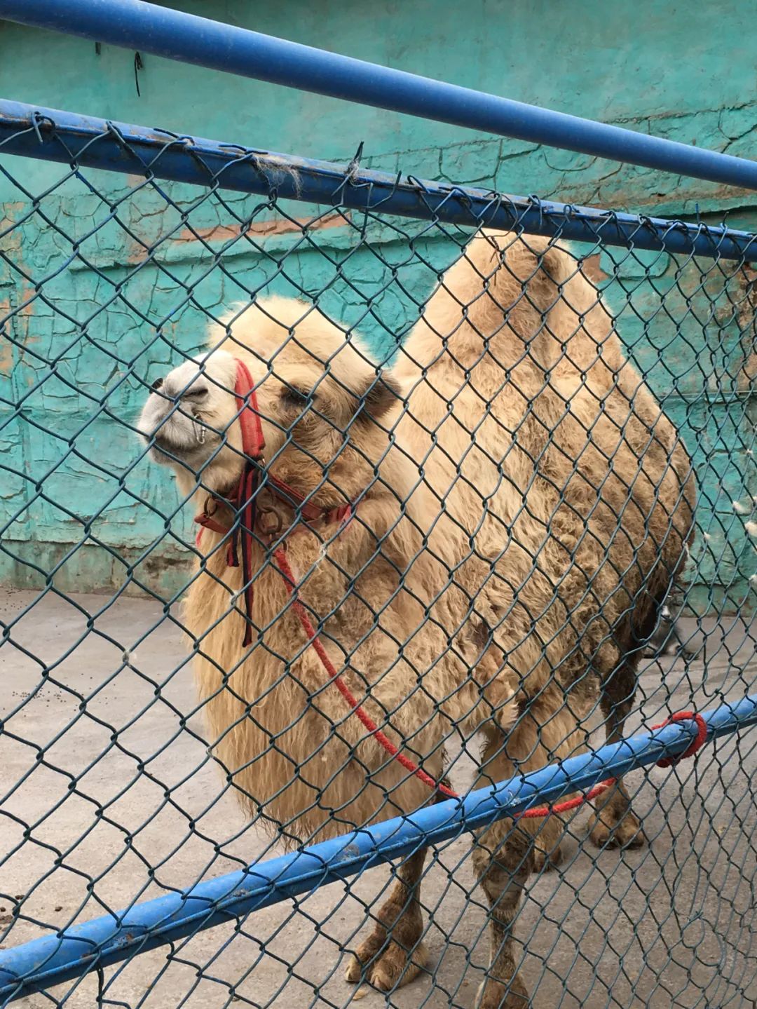 旭光电动车行,旭光车行向阳路