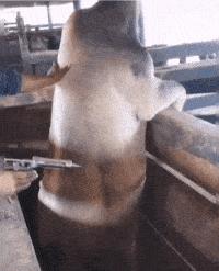 妹子，你的背的包很别致啊，旁边兄弟盯得眼都直了，哈哈哈哈哈哈