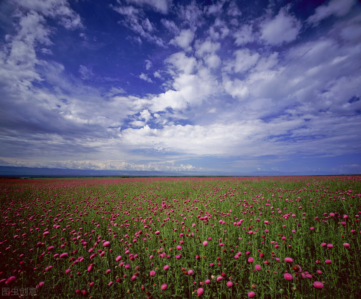 不到*疆新**，不知中国之大，不包邮的*疆新**到底有多大？