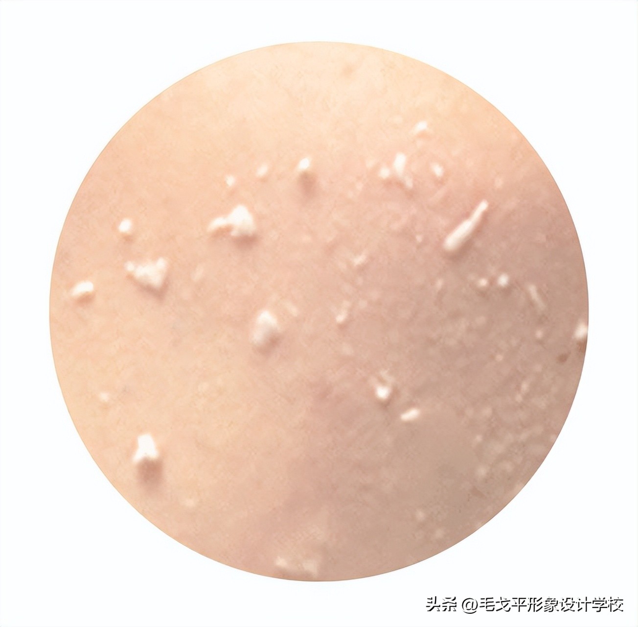 化妆师的冷门化妆技巧,超实用冷门化妆小技巧新手必看