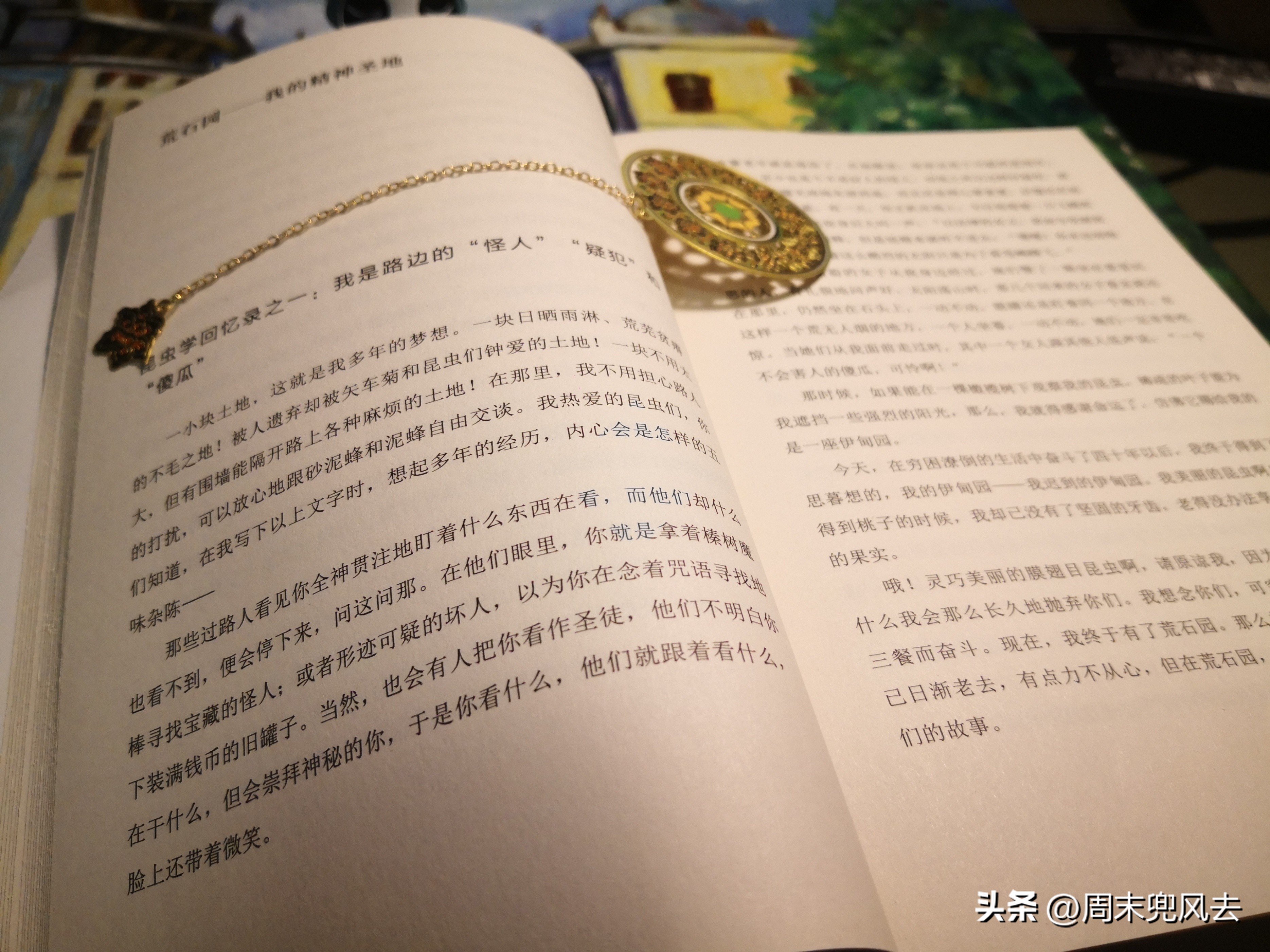 作家法布尔的昆虫记,法布尔昆虫记作者