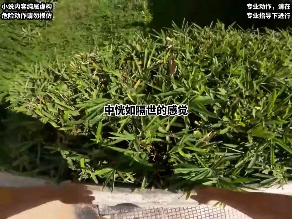 第一人称视角男生起床变女生,第一人称视角丧尸