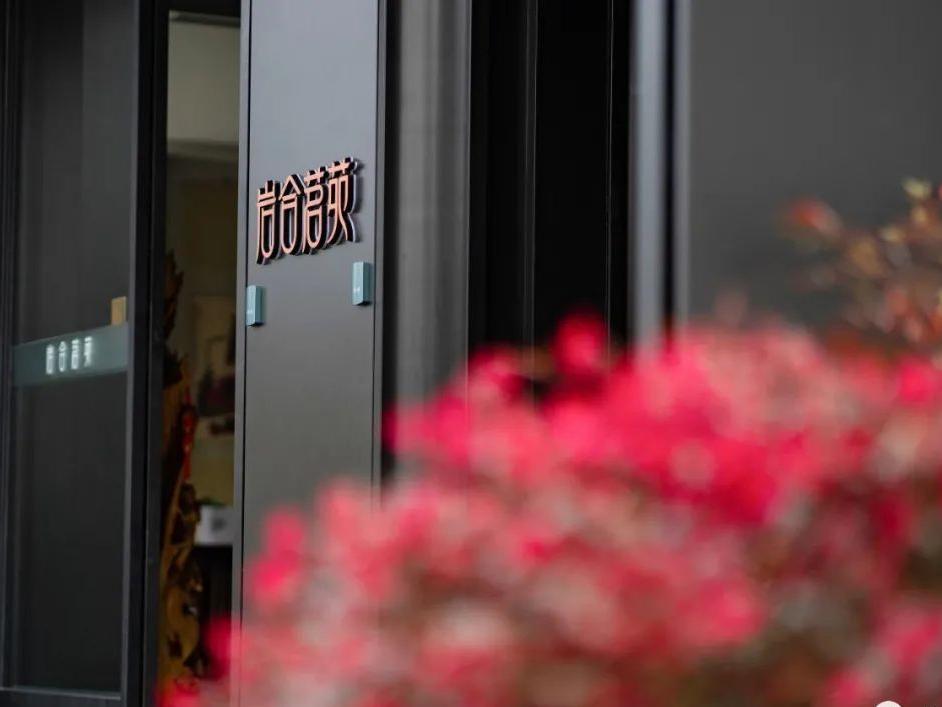 武夷山隐藏在大山里的世外桃源,武夷山景区和茶区