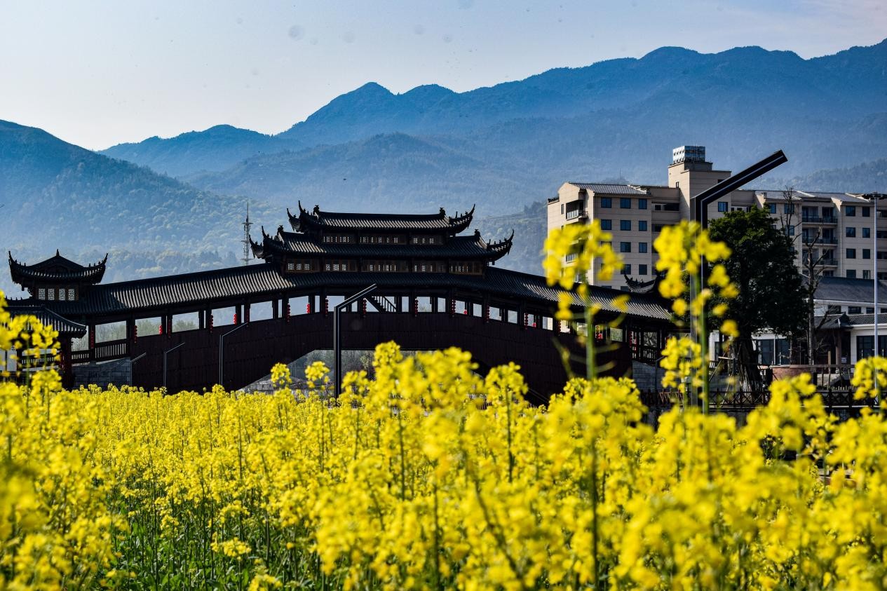 平阳县数字云产业孵化园共富工坊,浙江温州平阳共同富裕农村