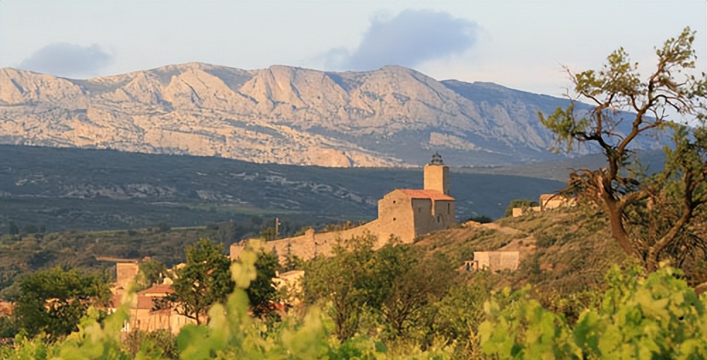菲图葡萄酒怎么样,菲图精选干红葡萄酒