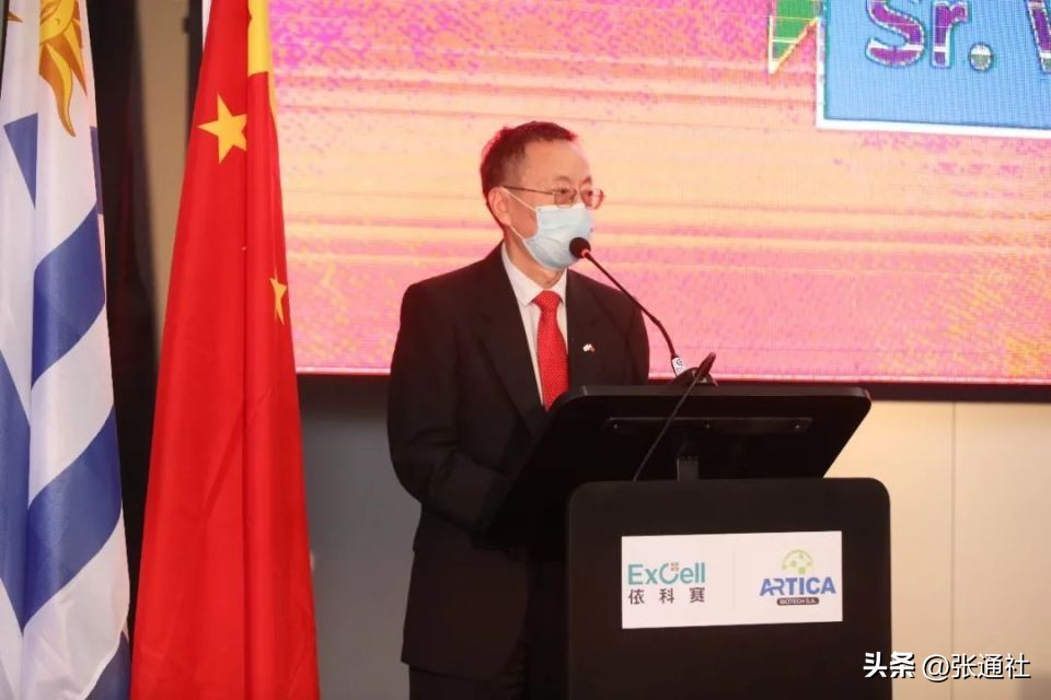 乌拉圭工厂,南美洲新建工厂