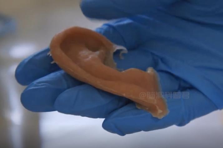 人造人体所有器官未来有可能吗,人造器官心肝脾肺肾脏