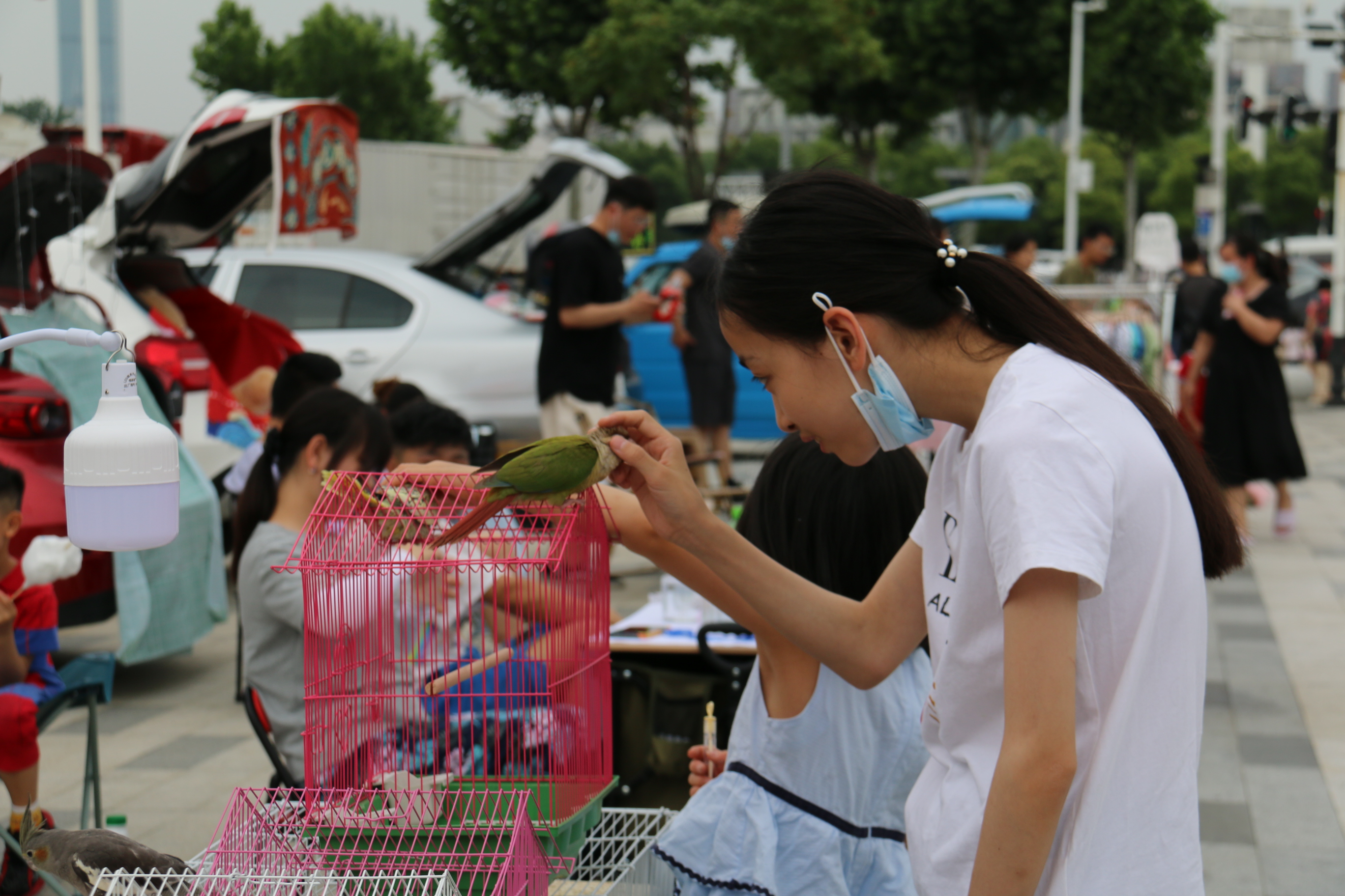不想上班的的年轻人都在干嘛,现在的年轻人都不努力工作