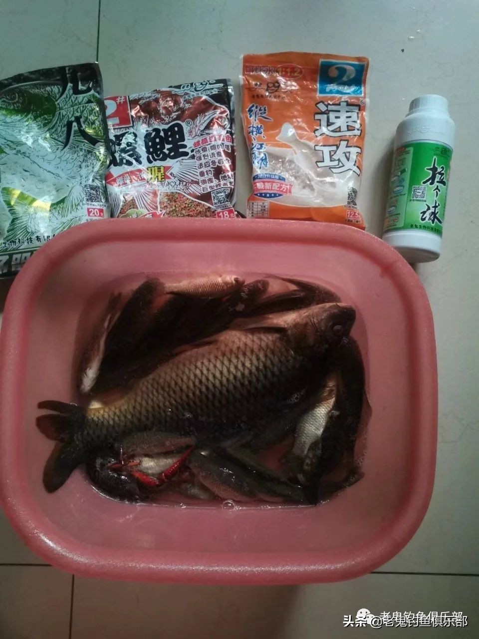 老鬼“老三样”夜擒大物，心想事成