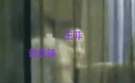 谢霆锋王菲最新同框照片,谢霆锋与王菲同框现身被网友偶遇