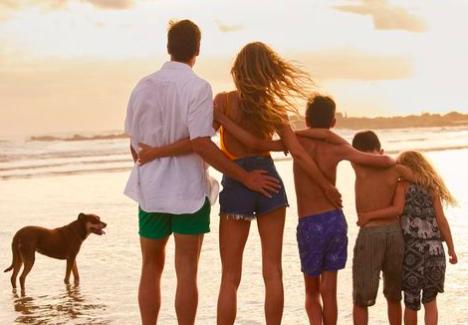 地球草小李子视频,地球草小李子现状