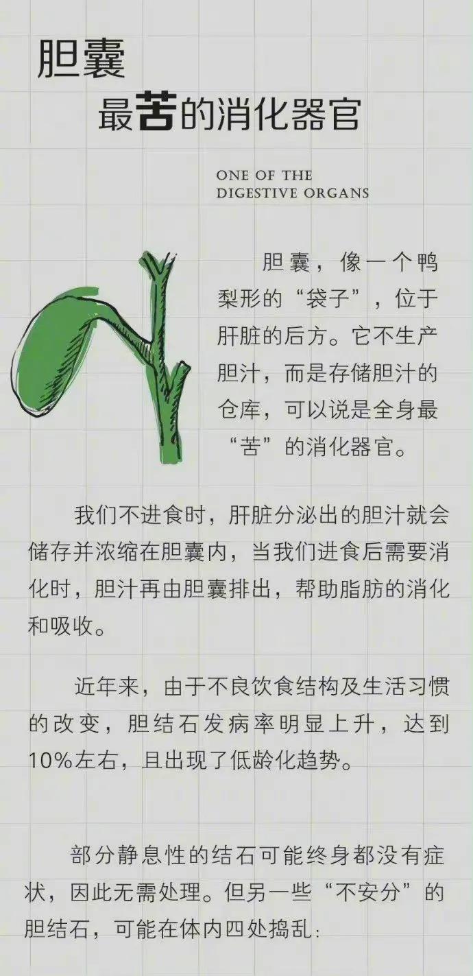 解析常见的预防胆结石方法,预防胆结石牢记5种食物