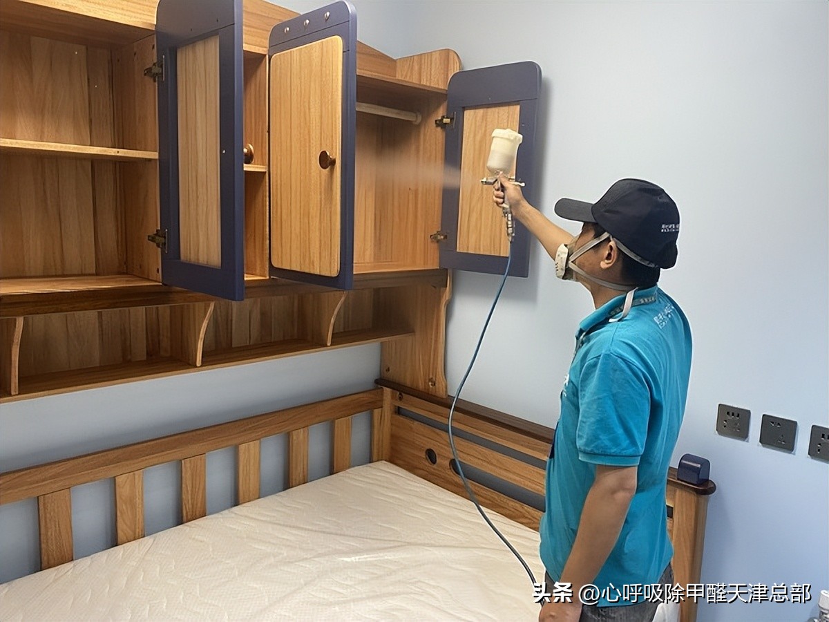 除甲醛加盟项目的市场前景如何,2023除甲醛加盟项目靠谱吗