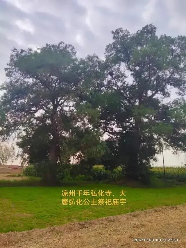 天地英雄传经典片段,天地英雄传原唱