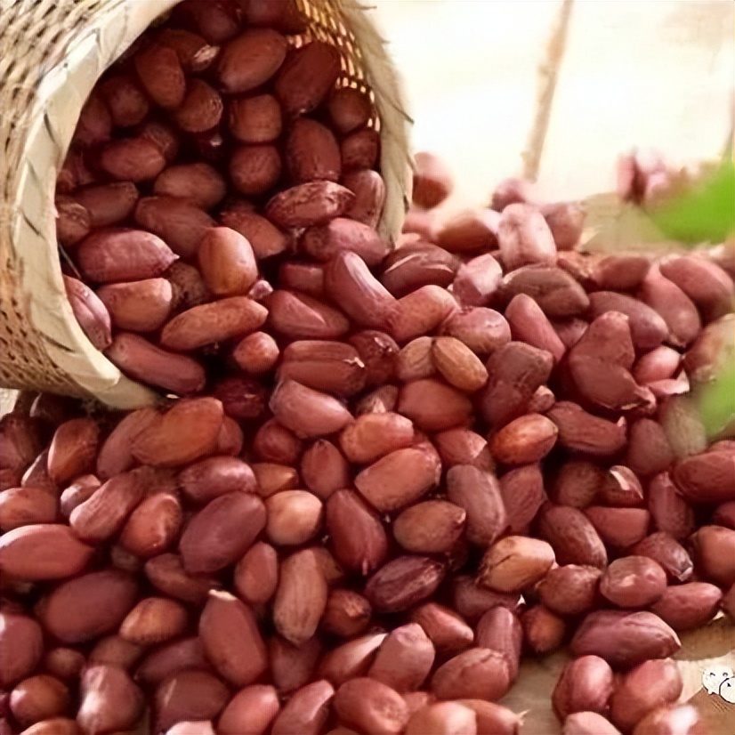 闈掔鏃呮父,鐪夊北闈掔