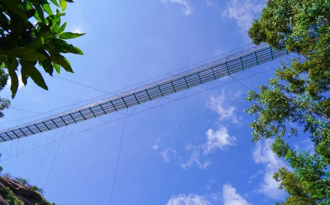 桃金娘果清远,清远桃金娘