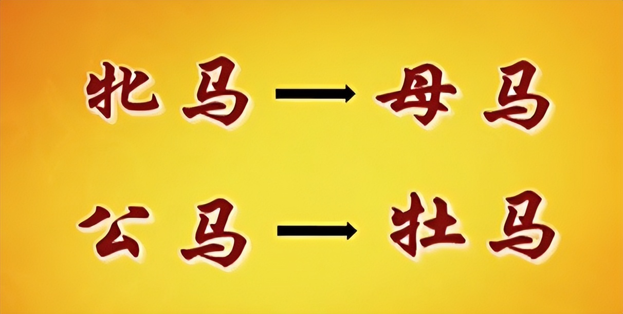 易经的智慧学习笔记阳极成阴09/144讲解曾仕强教授分享给大家