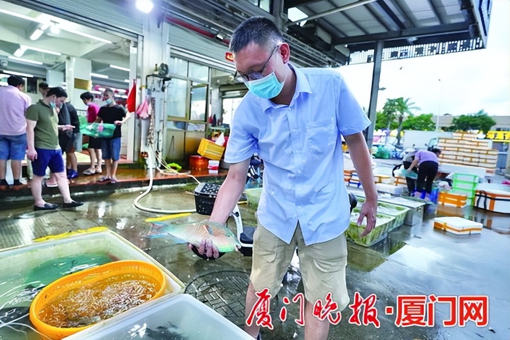 厦门现在什么海鲜最新鲜,厦门最新海鲜价格3月份