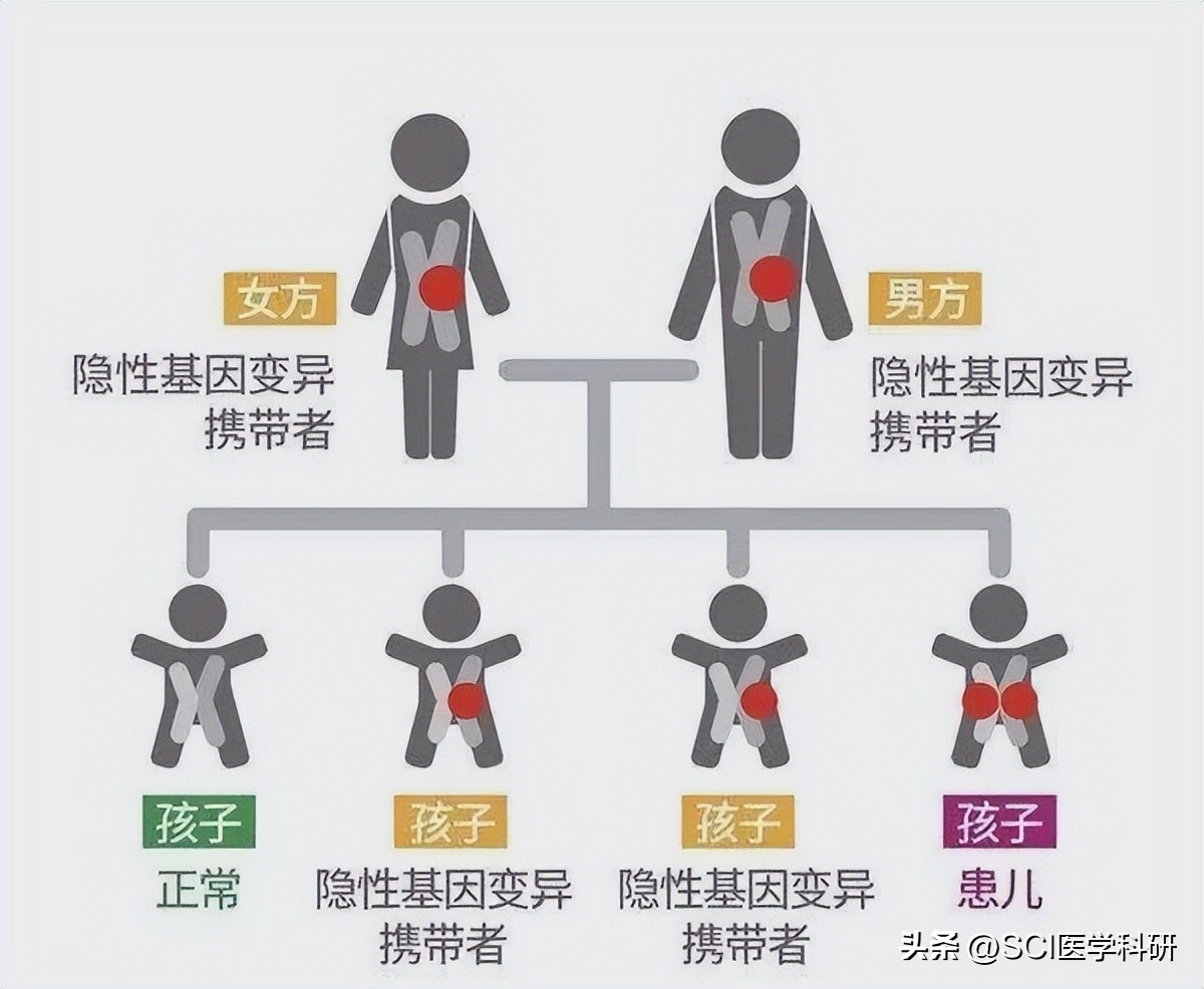 软骨发育不良宝宝能长高吗,孩子想长高吃什么有助软骨生长