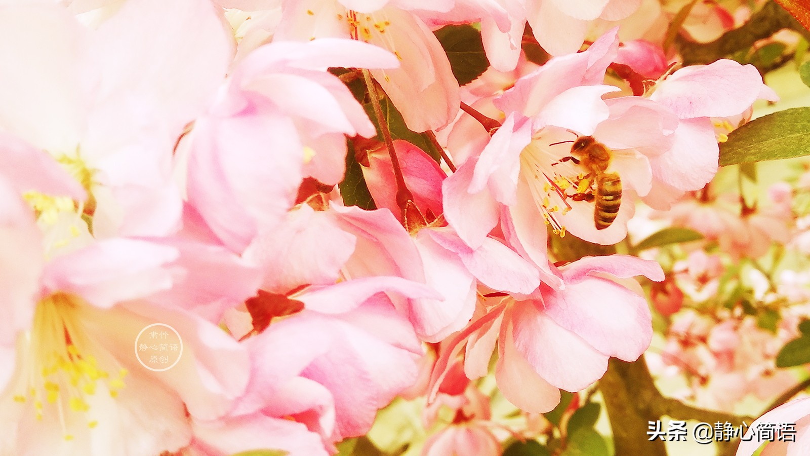 处在逆境如何保持心态,做人低调做事要注意什么