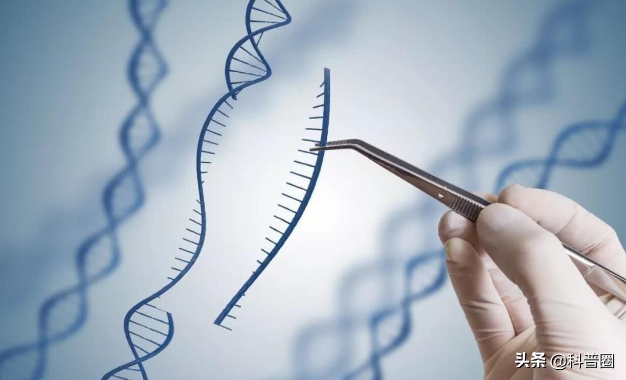 狐臭是怎样得来的视频,狐臭是怎么有的