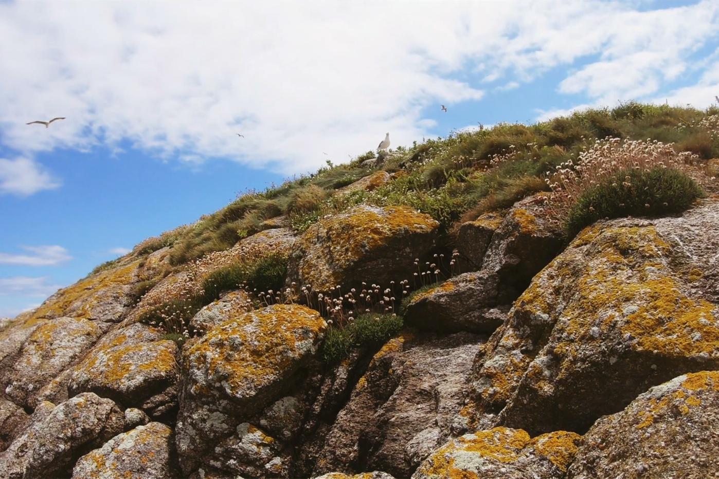 中国小伙荒岛求生大合集,中国小伙的航海日记合集