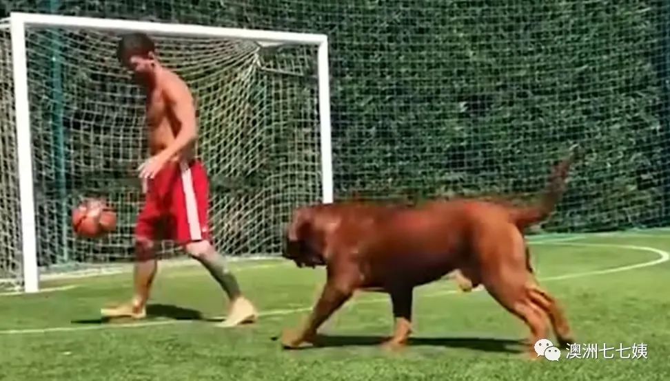 梅西的别墅有多大,梅西球员的豪宅