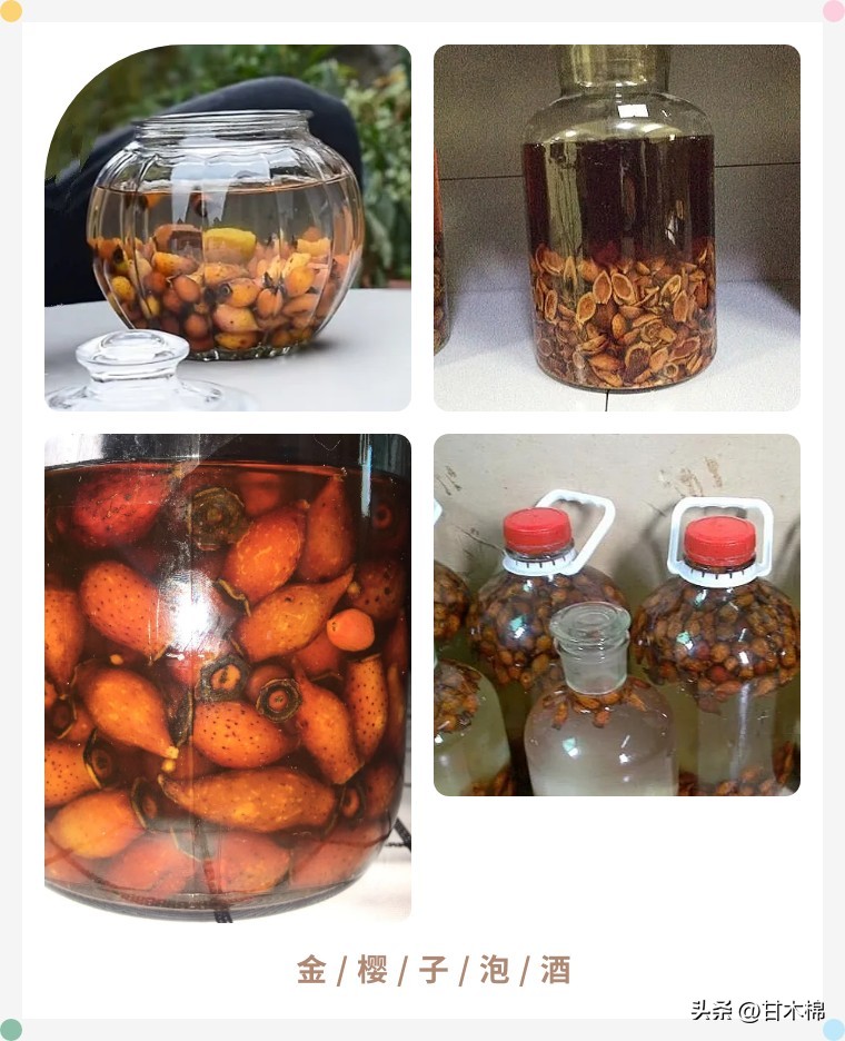 广西珍贵野果既能泡茶又能煲汤,黄色带刺泡酒的野果