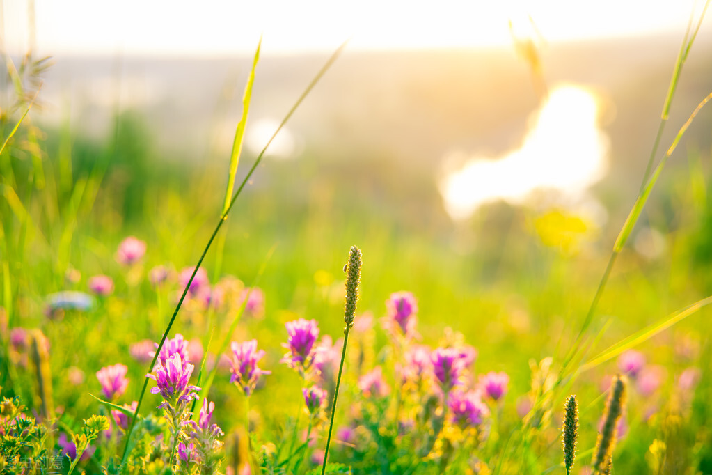 总有一个人跨过千山万水,总有一个人跋涉千里