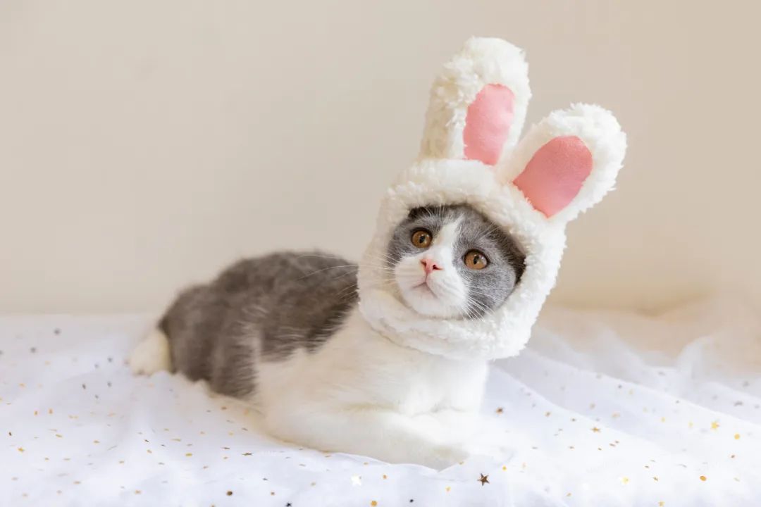 解压幽默笑话段子,搞笑幽默微信段子