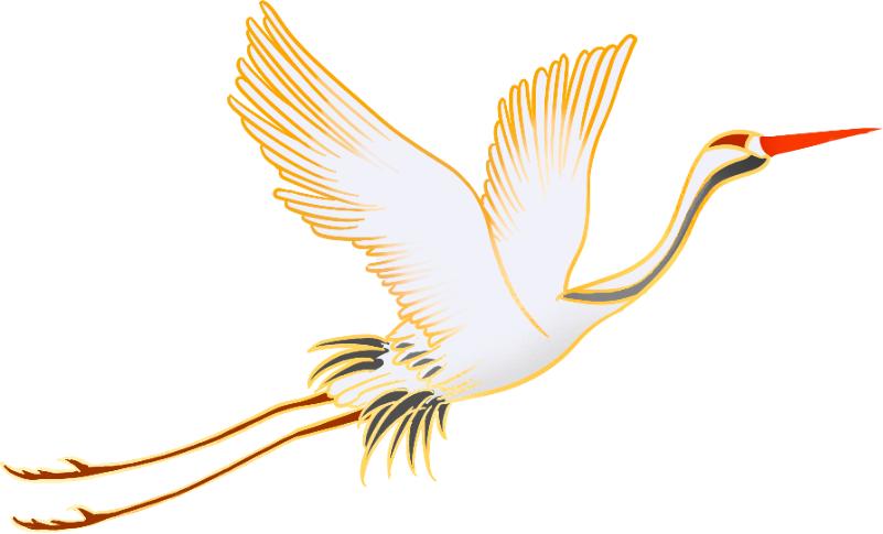 生肖兔的民俗与科学文化艺术,先生讲生肖兔