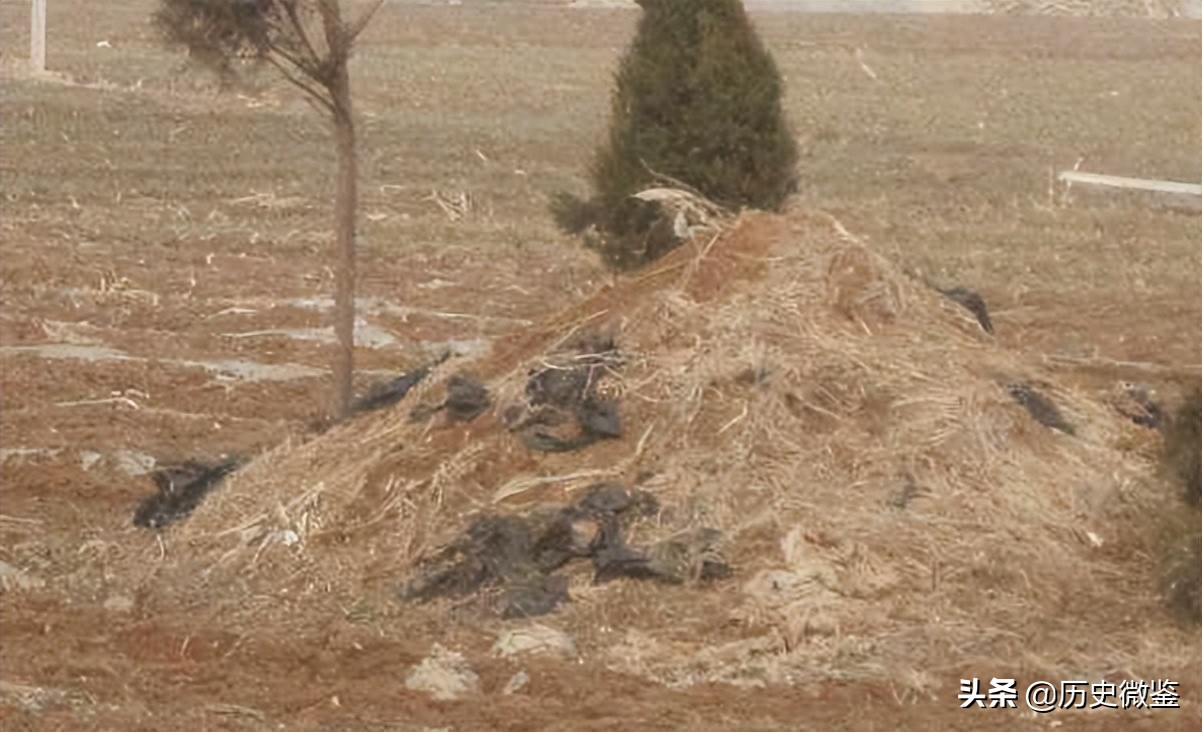 浙江女孩瞒着爸妈，寻找养父母12年，跪养母坟前嚎啕大哭：来晚了