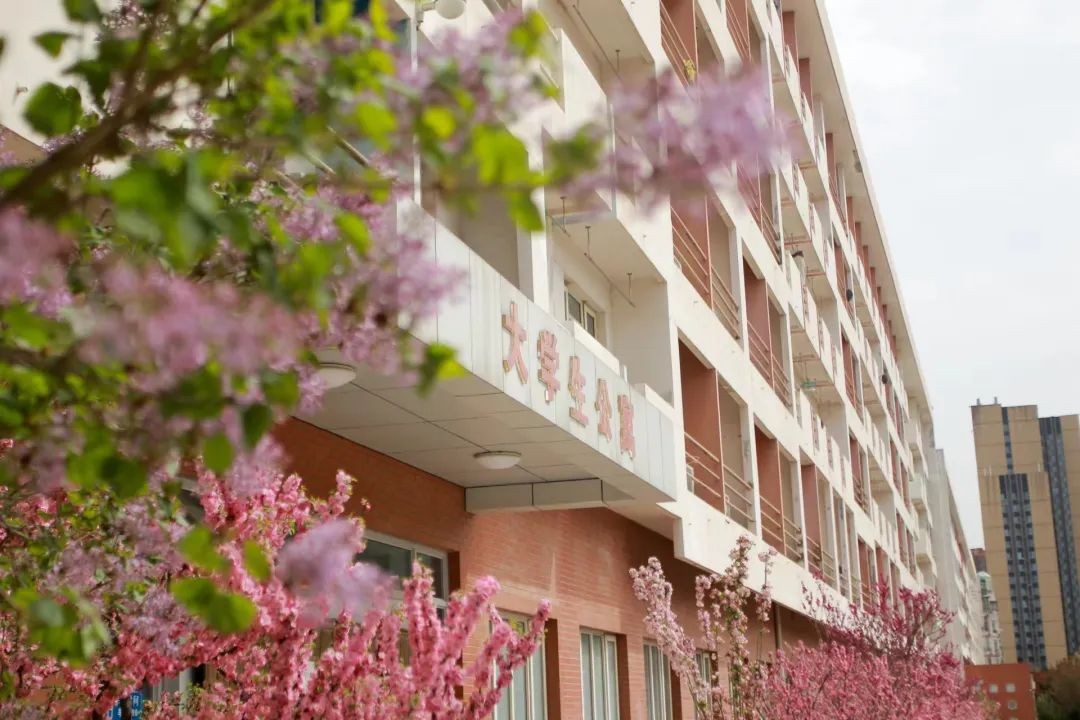 北京石油化工大学世界排名,北京石油化工学院在全国排名榜