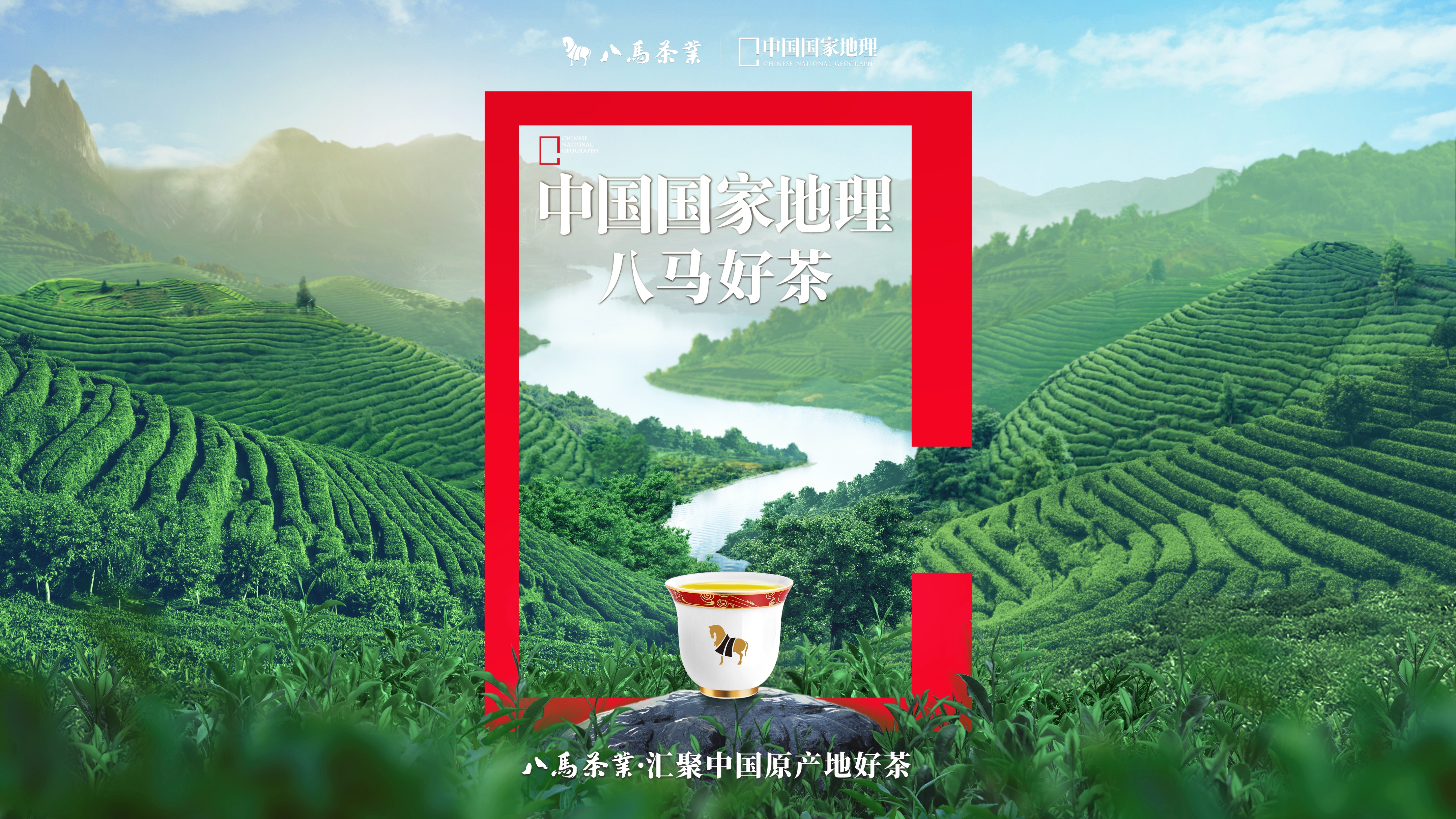 被皇帝赐名的茶叶,铁观音乾隆御品