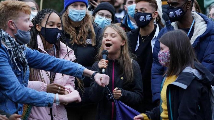 环保组织骗局,环保组织的骗局