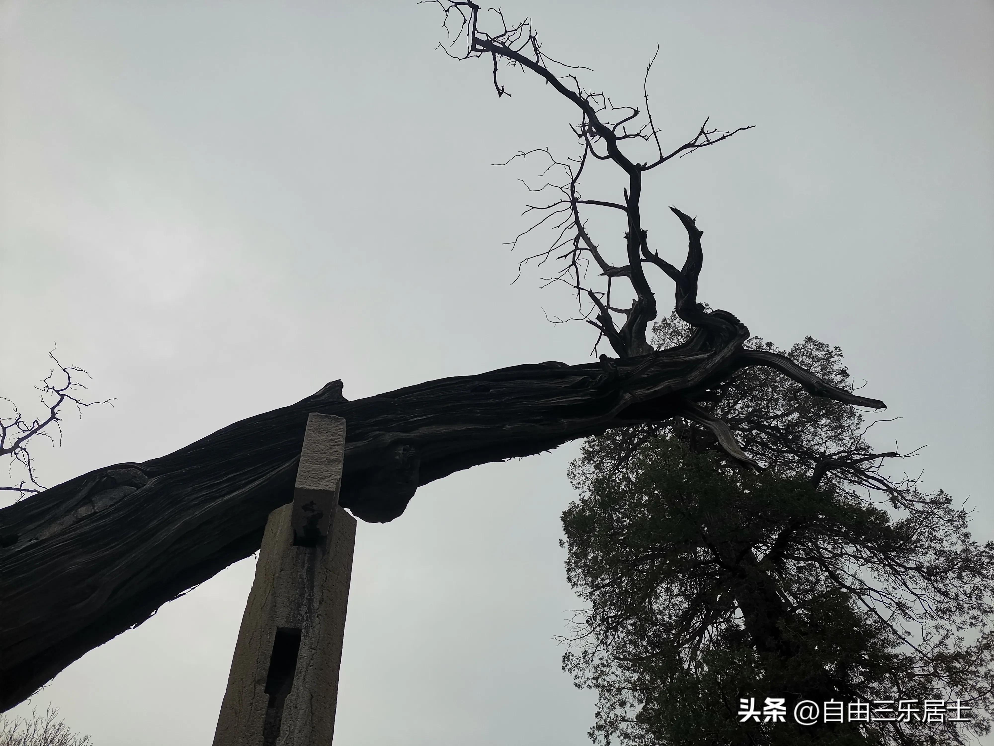 曲阜三孔游记全集,讲好山东故事三孔游记