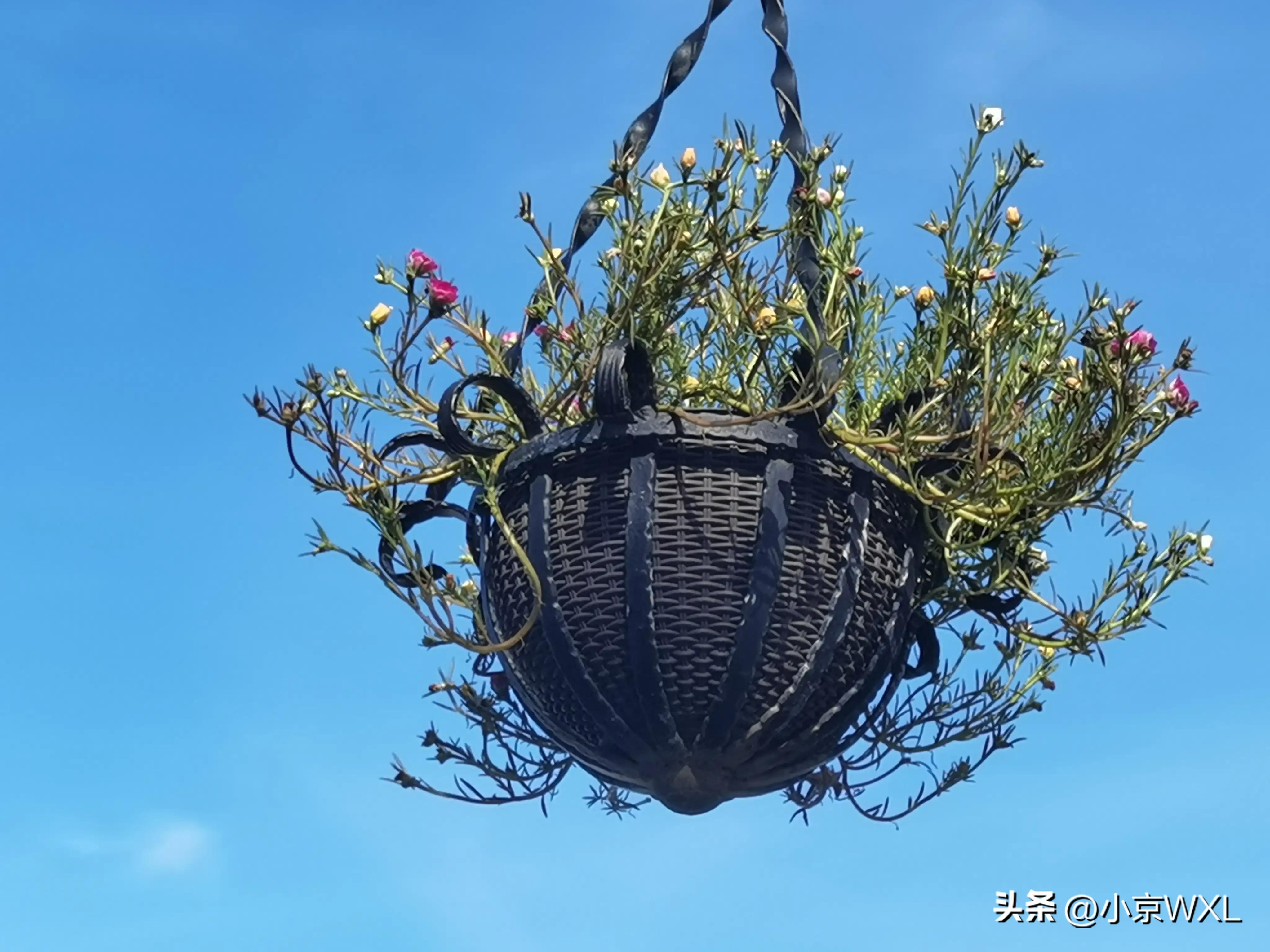 太古仓码头18年,太古仓码头什么时候开放