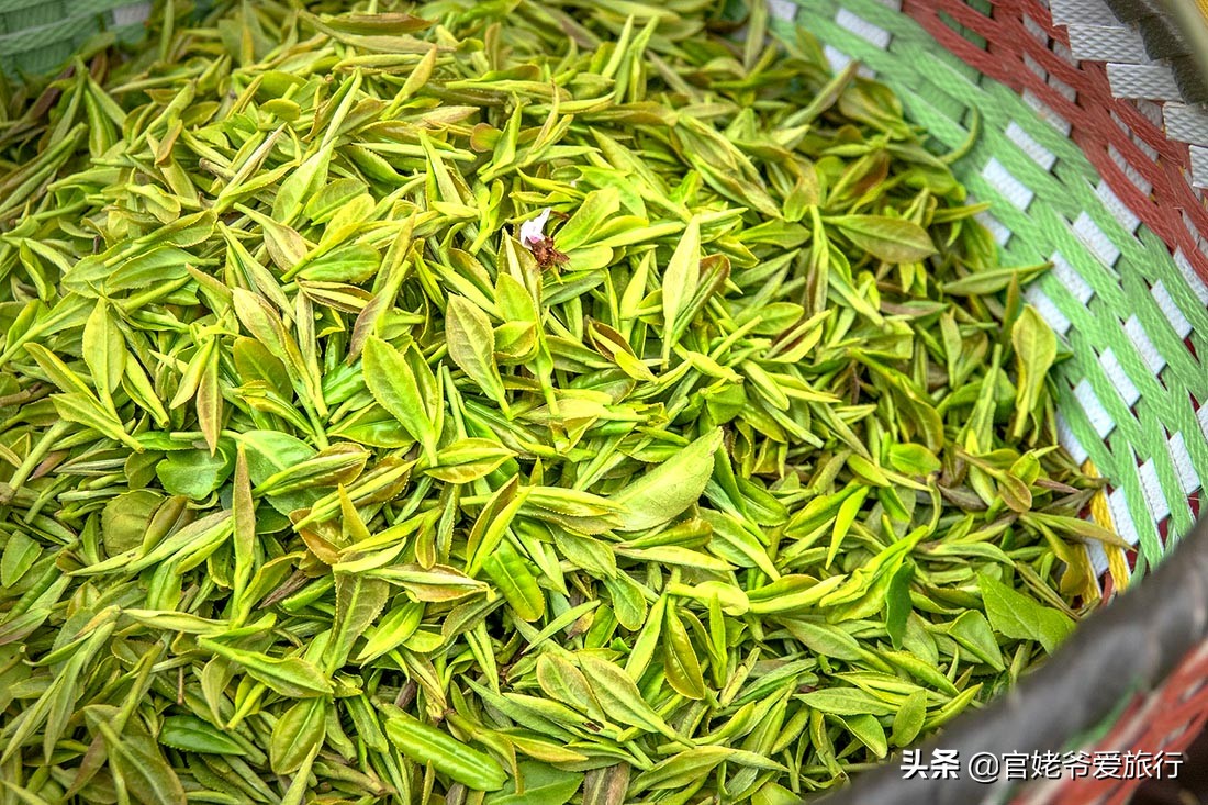 武汉黄陂茶谷风景区,武汉市黄陂区后花园