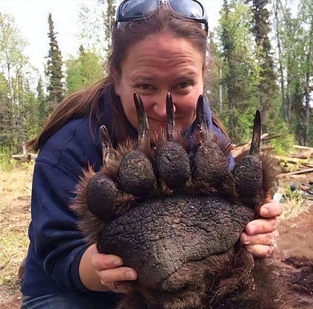 38张照片看世界：黎巴嫩被毁坏的港口，山洞球场