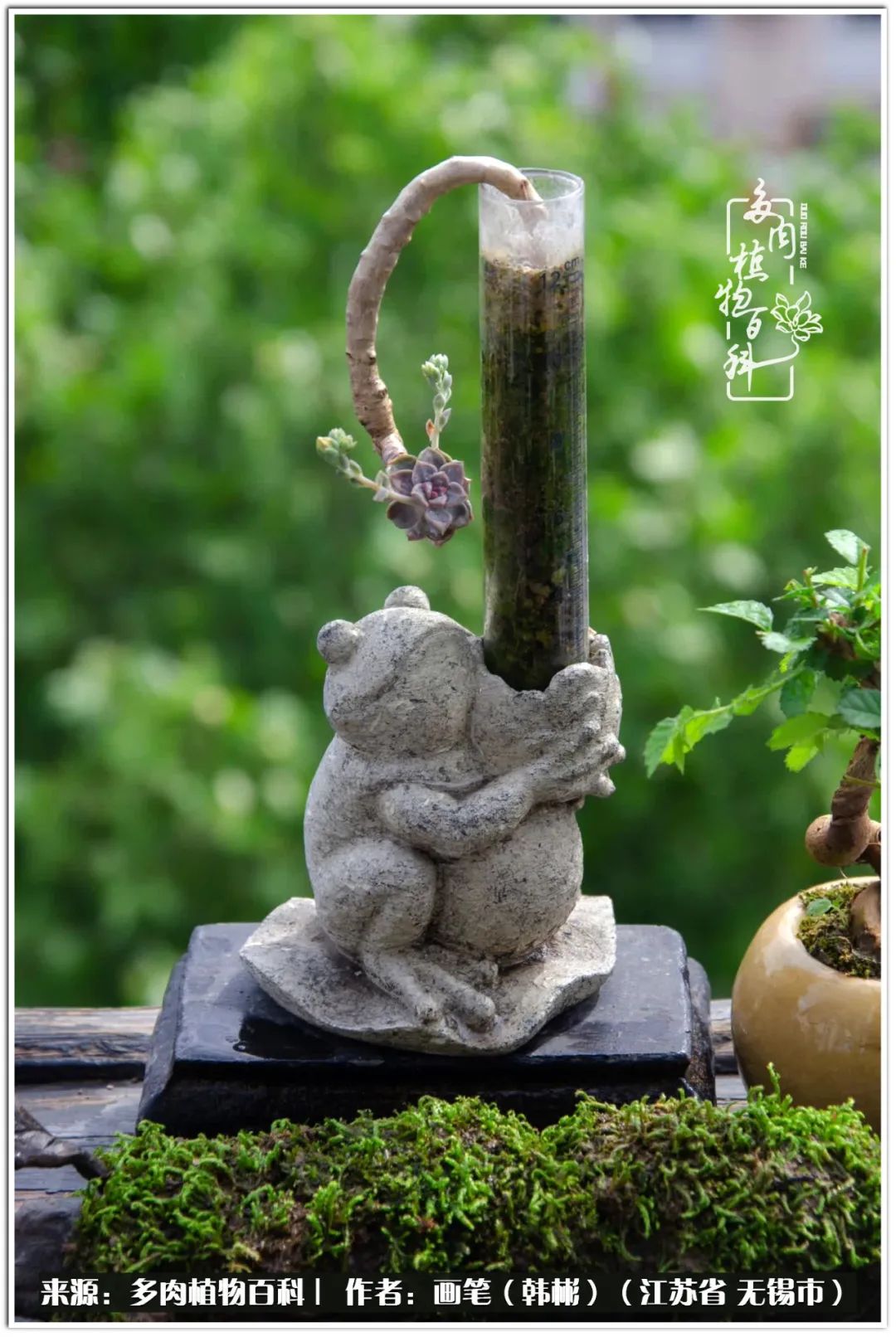 月满西楼别有一番滋味在心头,绿肥红瘦