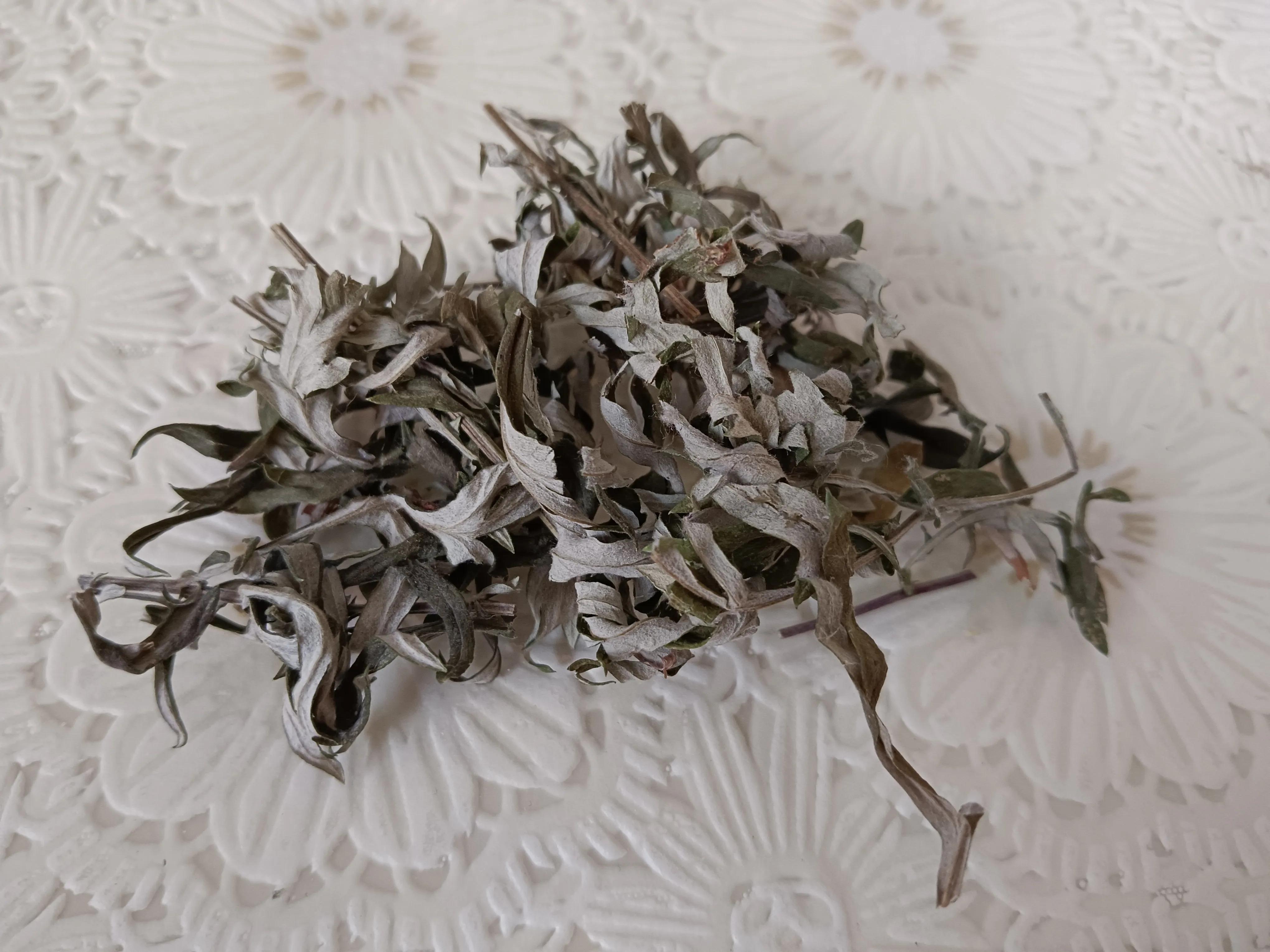 艾蒿可以长久用吗,艾蒿使用方法