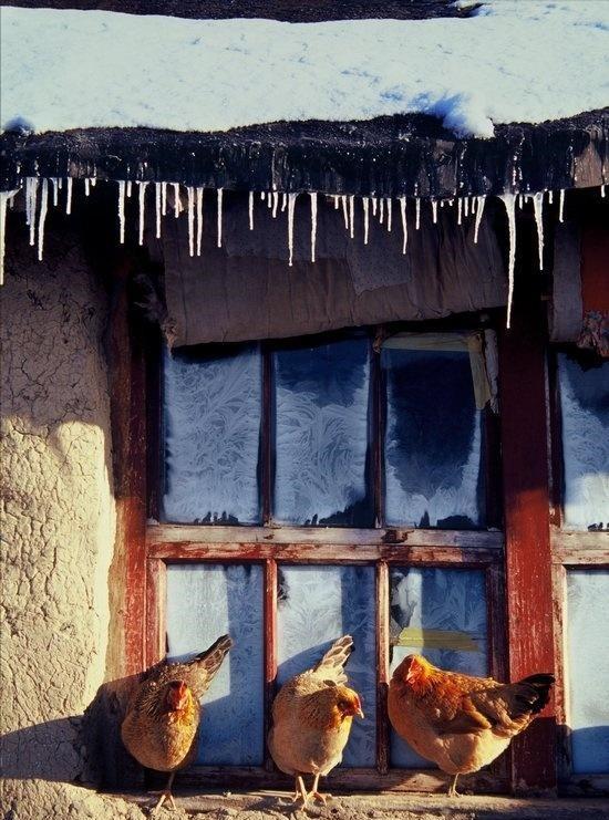 20张珍贵老照片图片,50张老照片里的旧时光