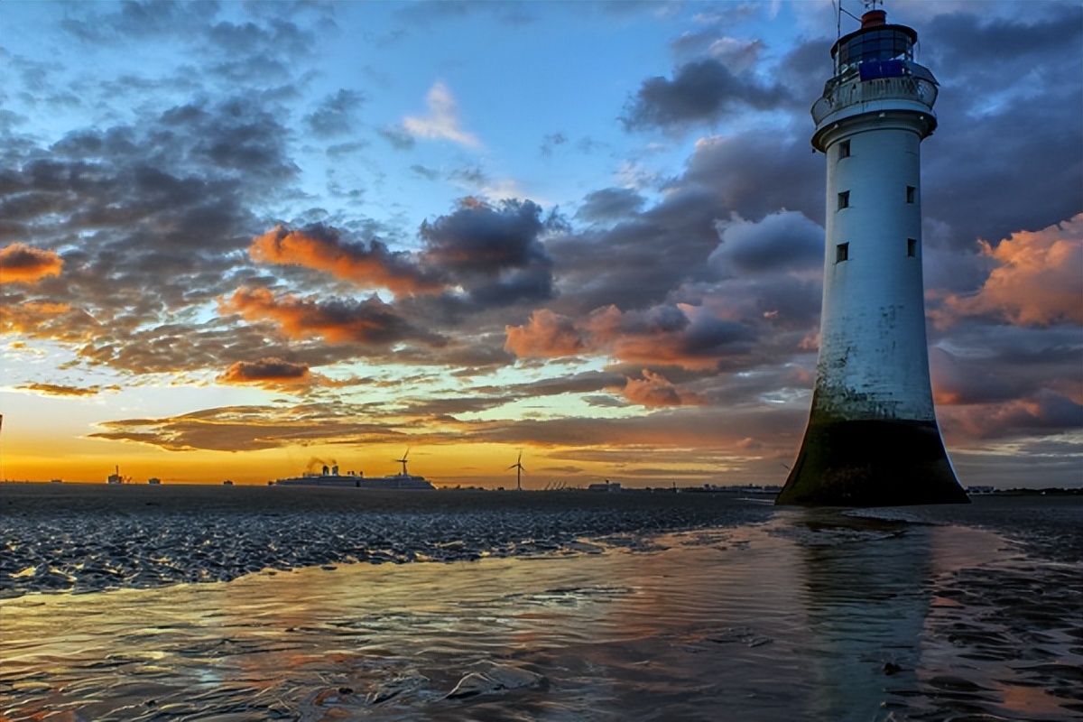如何克服相互依赖，打破不健康关系的循环，一起看看吧