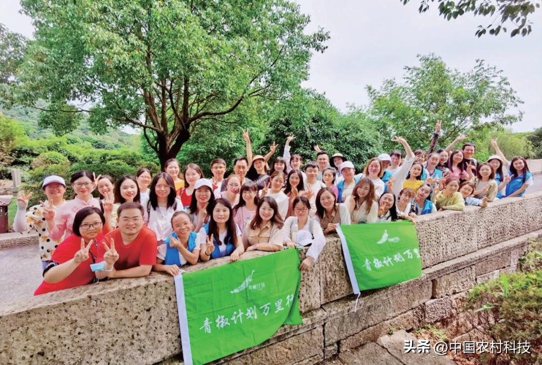 乡村振兴的公益创业,乡村振兴公益案例